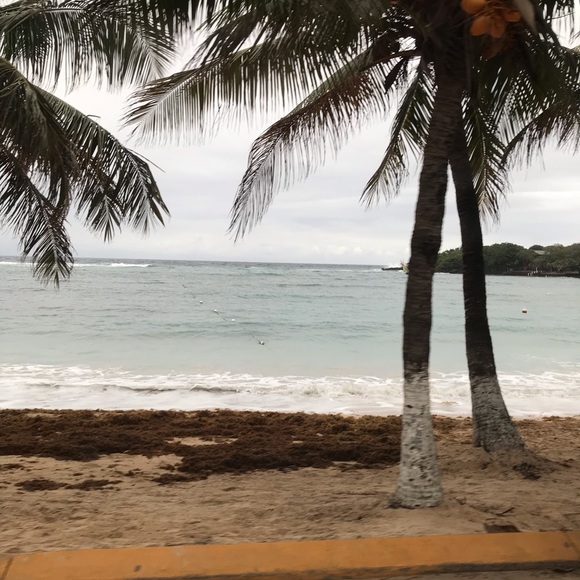 Meet your Posher, Megan - Picture 1 of 1